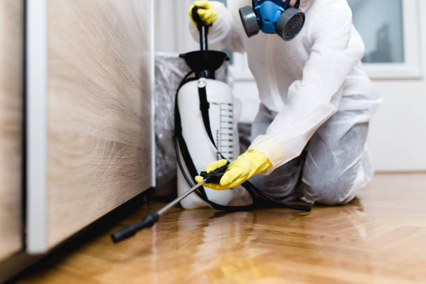Best Exterminator Services  in Scottville, MI