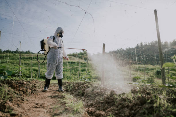 Best Pest Control for Homes  in Scottville, MI