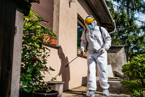 Pest Control for Restaurants in Scottville, MI