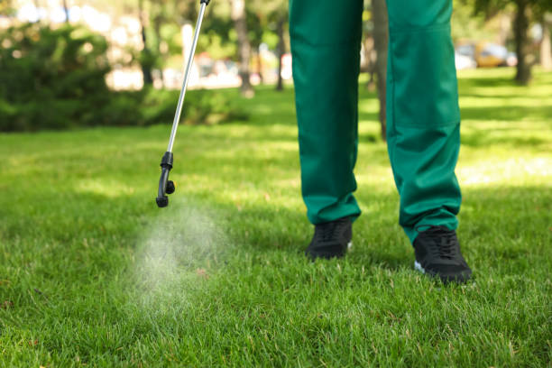 Best Wasp Removal Services  in Scottville, MI