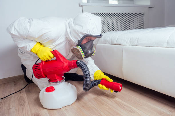 Best Pest Inspection Near Me  in Scottville, MI