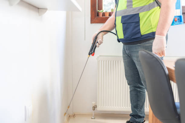 Best Local Pest Control Services  in Scottville, MI