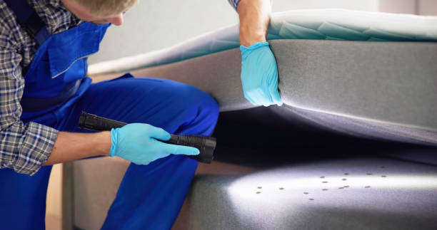 Best Bed Bug Extermination  in Scottville, MI