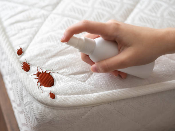 Best Residential Pest Control  in Scottville, MI
