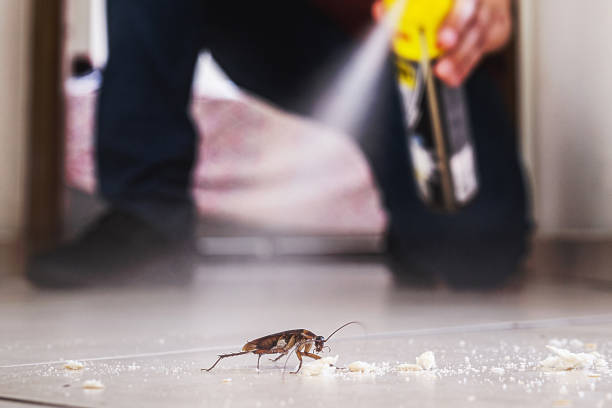 Best Affordable Pest Control Services  in Scottville, MI